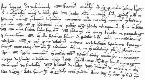 Transkrypcja najstarszego dokumentu dotyczącego Świebodzina